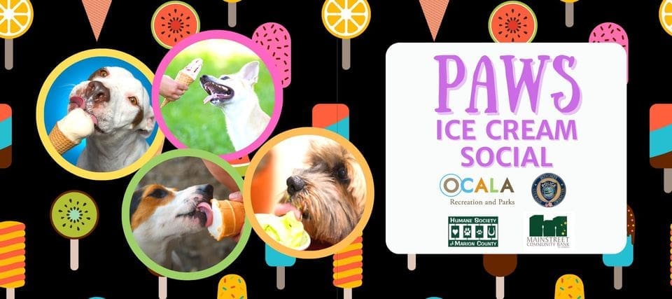 PAWS Ice Cream Social @ letty towles dog park