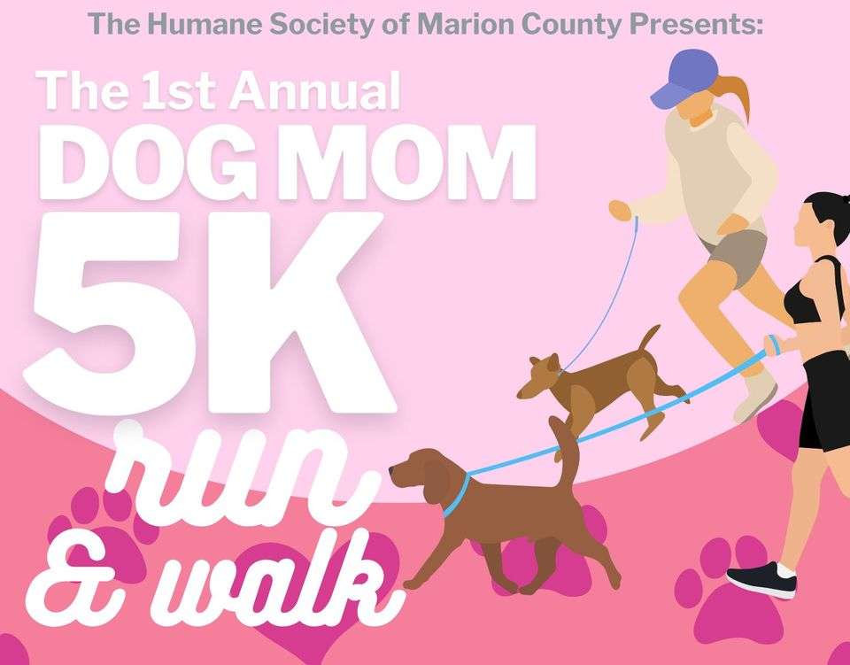 dog mom 5k walk and run