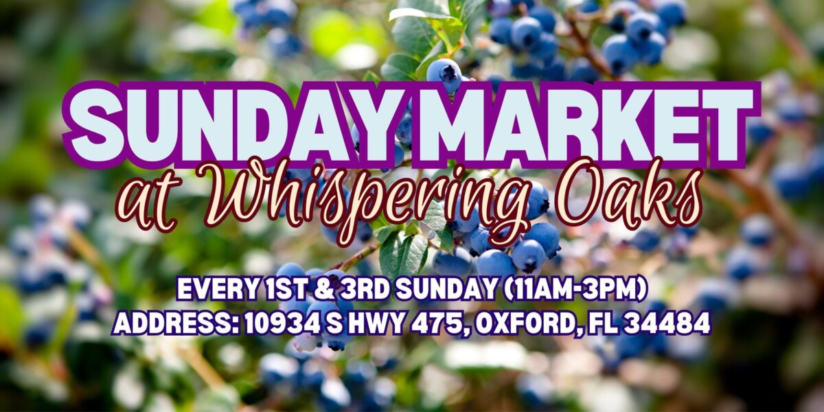 Sunday Market at Whispering Oaks